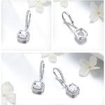 Sterling Silver Cubic Zircon Drop Earrings