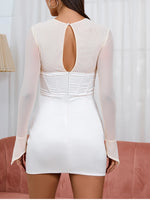 Sexy Long Sleeve Cut-out Mesh Corset Dress